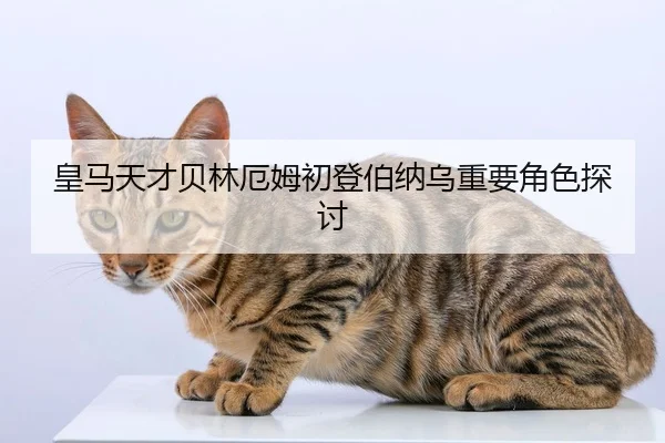 皇马天才贝林厄姆初登伯纳乌重要角色探讨 | Yamei